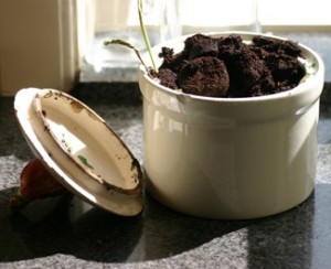 Compost eren - keukenbakje