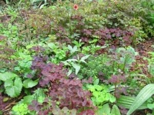 Eetbare Siertuin