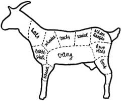 Geitenvlees - anatomie.jpg