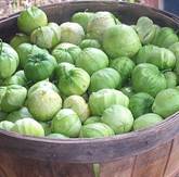 Tomatillo - mand vol.jpg
