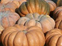 http://farm4.static.flickr.com/3158/2853301645_0ebc79c4b0.jpg