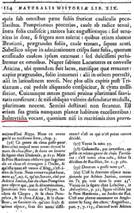 Zeekool - Plinius 1 - 303x482.jpg