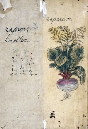 L0030109 Japanese Herbal, 17th century