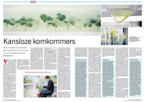 Genetisch gemanipuleerde gewassen - afbeelding NRC