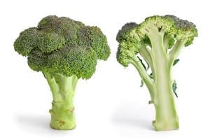 broccoli 300