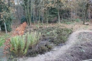 Heide in de Eetbare Siertuin - klaar