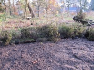 Heide in de Eetbare Siertuin - planten