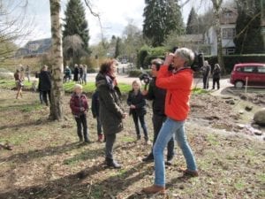 bonte bentheimer x japanse duizendknoop - wethouder wordt geinterviewd