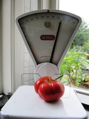 Net geen 400 gram voor deze knaap.