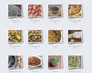 Hippe boon - startpagina winkel