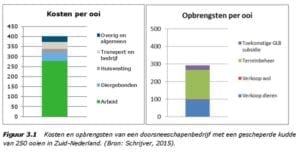 Kosten per ooi zijn hoger dan de baten.