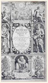 Rucola - John Gerard - The Herball.jpg